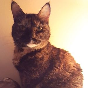 Meet your Posher, Lori